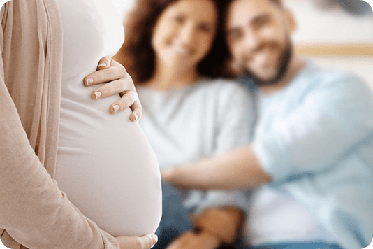 Legal assistance for surrogacy
